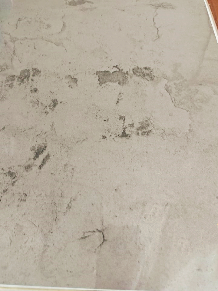 高光肽瓷板生产厂家